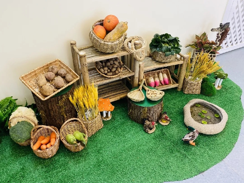 幼儿园创设了相关的环境,各班教师制作光盘记录墙,引导孩子们自主记录